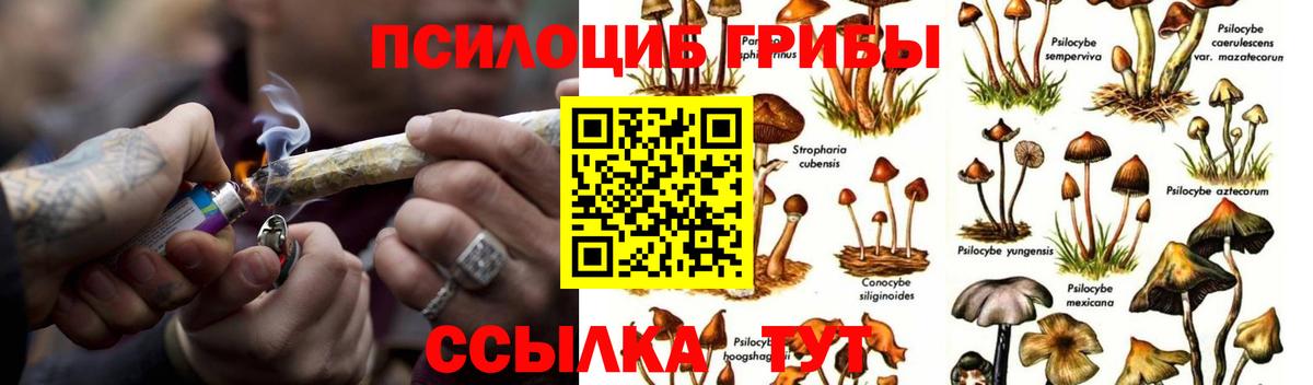 Галлюциногенные грибы GOLDEN TEACHER  Вход с VPN  Отрадный 